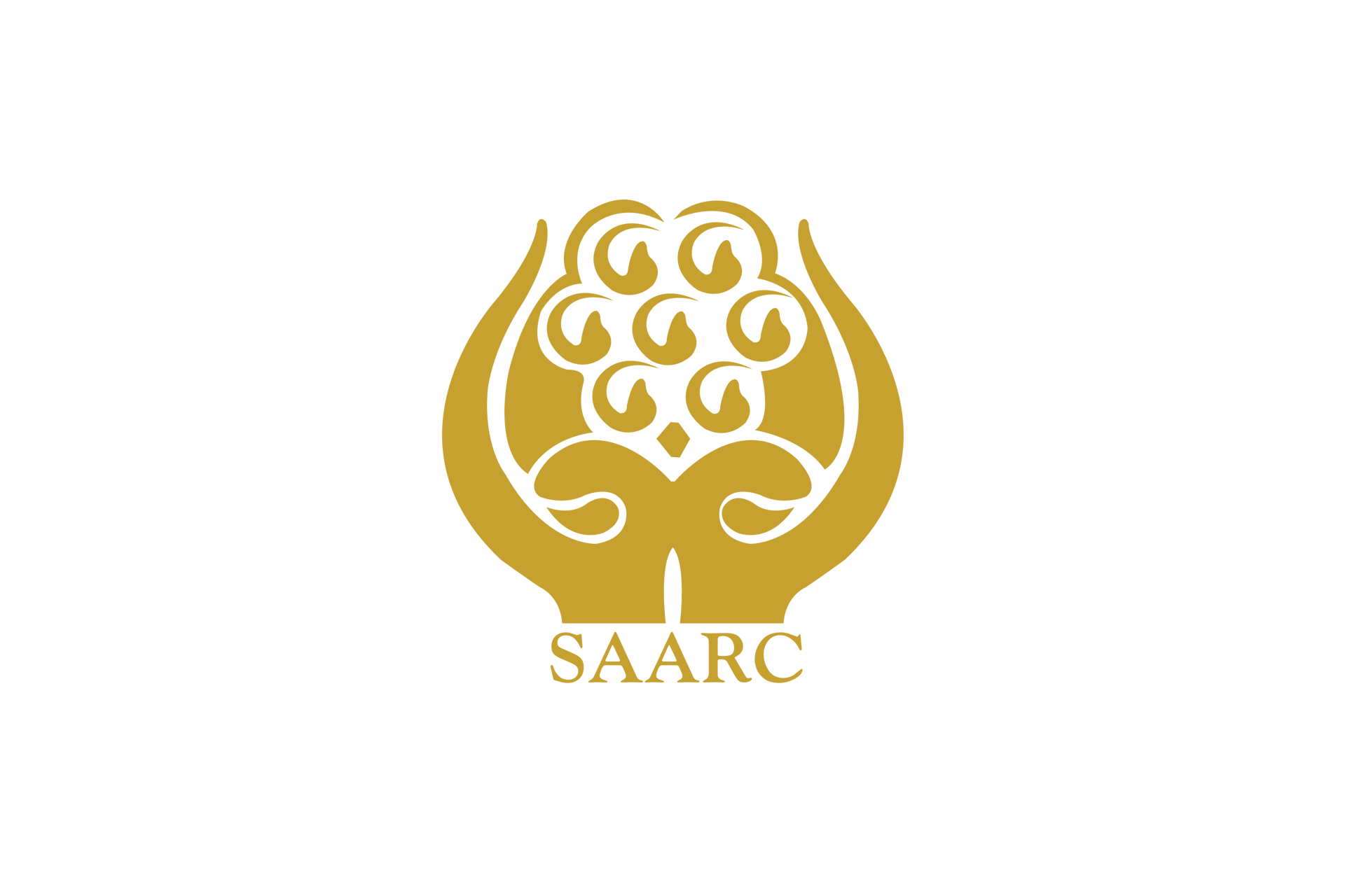 SAARC summits held so far