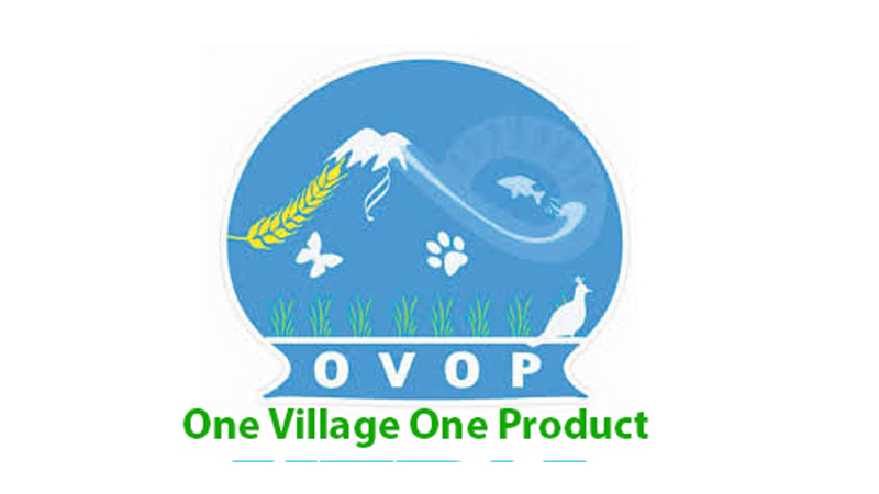 (One Village One Product - OVOP)